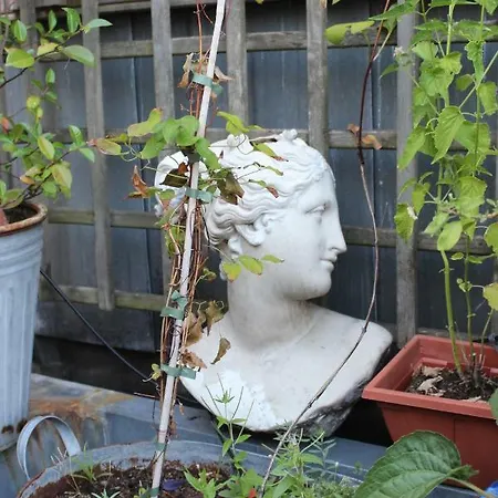 Bed & Breakfast Bees