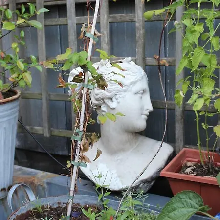 Bed and breakfast Bees